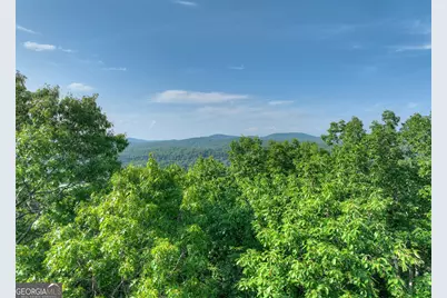 0 Walker Drive, Morganton, GA 30560 - Photo 10