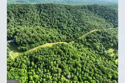 0 Walker Drive, Morganton, GA 30560 - Photo 24