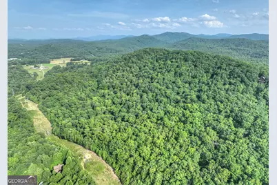 0 Walker Drive, Morganton, GA 30560 - Photo 12