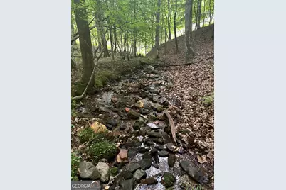 0 Walker Drive, Morganton, GA 30560 - Photo 28