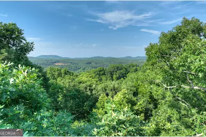 0 Walker Drive, Morganton, GA 30560 - Photo 16