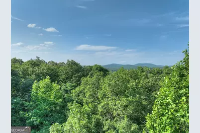 0 Walker Drive, Morganton, GA 30560 - Photo 18