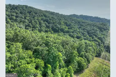 0 Walker Drive, Morganton, GA 30560 - Photo 14