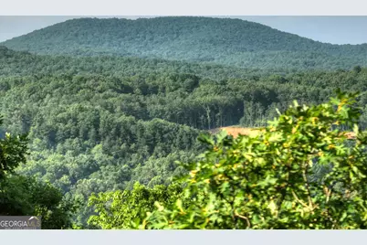 0 Walker Drive, Morganton, GA 30560 - Photo 10