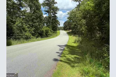 1041 Glen Eagle Drive, Greensboro, GA 30642 - Photo 2