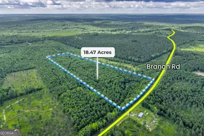 0 Branan, Toomsboro, GA 31090 - Photo 1