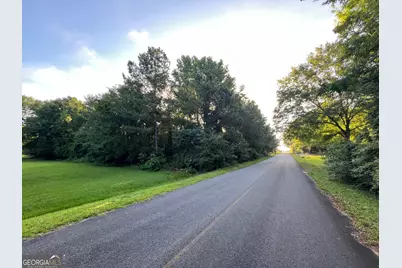 0 First Avenue, Hawkinsville, GA 31036 - Photo 1