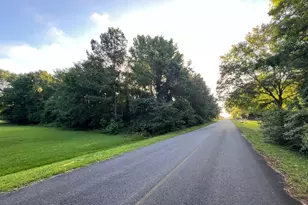 0 1st Ave, Hawkinsville, GA 31036 - Photo 1