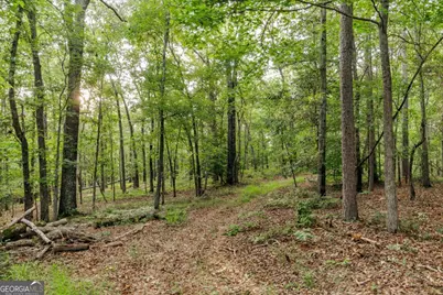 706 Sam Bruce Road, Royston, GA 30662 - Photo 74
