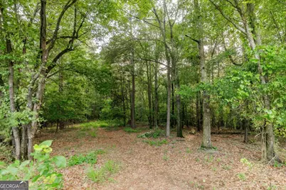 706 Sam Bruce Road, Royston, GA 30662 - Photo 72