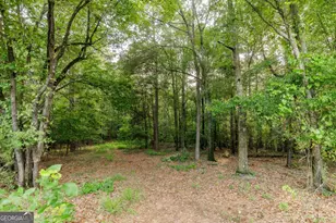 706 Sam Bruce Rd, Royston, GA 30662 - Photo 72