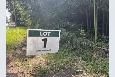 0 Kings Mill Road #1, Wrens, GA 30833 - Photo 2