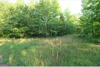 0 Kings Mill Road #3, Wrens, GA 30833 - Photo 12