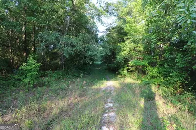 0 Kings Mill Road #3, Wrens, GA 30833 - Photo 8