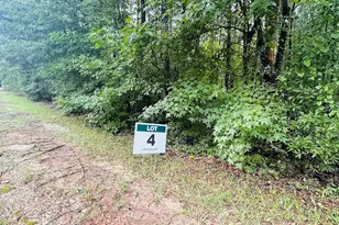 0 Kings Mill Rd, Wrens, GA 30833 - Photo 1