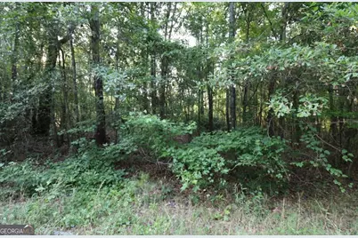 0 Kings Mill Road #5, Wrens, GA 30833 - Photo 16