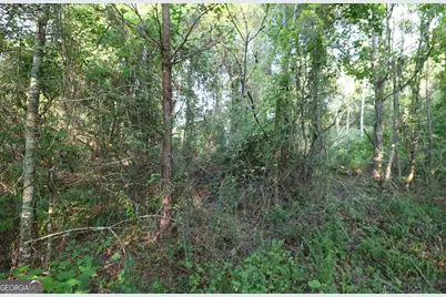 0 Kings Mill Road #6, Wrens, GA 30833 - Photo 10