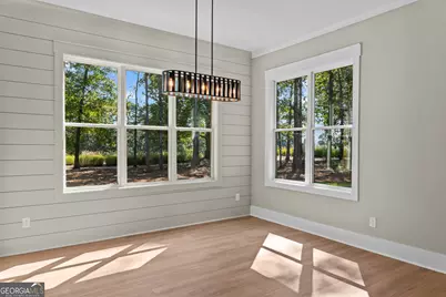 1320 Lake Drive, Greensboro, GA 30642 - Photo 20