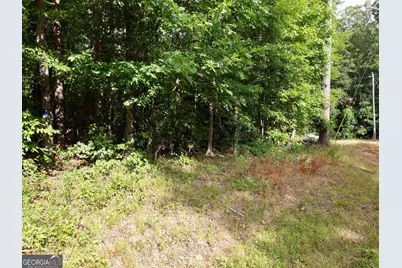 0 Parker Road, Covington, GA 30014 - Photo 10