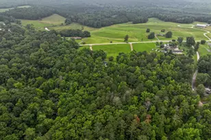 2404 Corinth Poseyville Rd, Bremen, GA 30110 - Photo 2