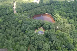 2654 New Hope Rd, Zebulon, GA 30295 - Photo 100