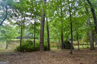 2654 New Hope Road, Zebulon, GA 30295 - Photo 10