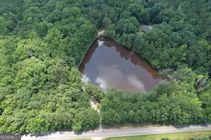 2654 New Hope Rd, Zebulon, GA 30295 - Photo 94