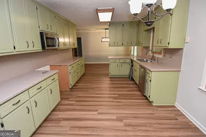 2654 New Hope Road, Zebulon, GA 30295 - Photo 34