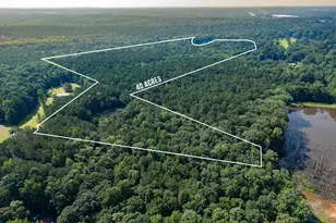 905 Natures Trail, Forsyth, GA 31029 - Photo 1