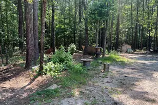 905 Natures Trail, Forsyth, GA 31029 - Photo 54