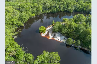 1360 Douglas Fish Camp Road, White Oak, GA 31568 - Photo 2