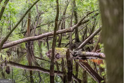 1360 Douglas Fish Camp Road, White Oak, GA 31568 - Photo 30