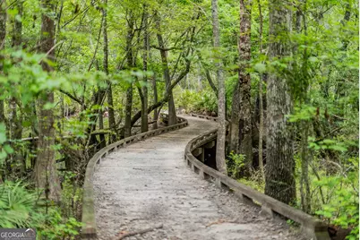 1360 Douglas Fish Camp Road, White Oak, GA 31568 - Photo 4