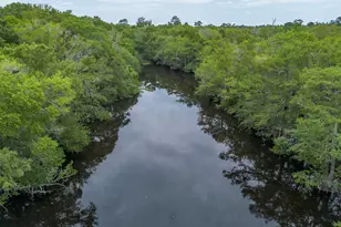 1360 Douglas Fish Camp Rd, White Oak, GA 31568 - Photo 16