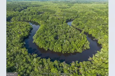 1360 Douglas Fish Camp Road, White Oak, GA 31568 - Photo 6