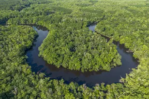 1360 Douglas Fish Camp Rd, White Oak, GA 31568 - Photo 6