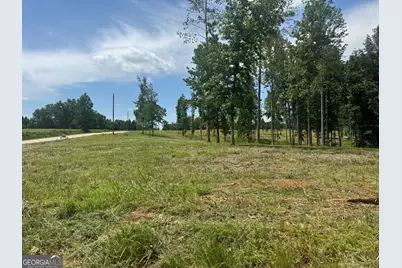 Lot 4 Happy Hollow Road, Roopville, GA 30170 - Photo 1