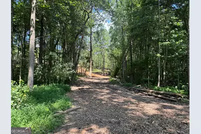 Lot 4 Happy Hollow Road, Roopville, GA 30170 - Photo 8