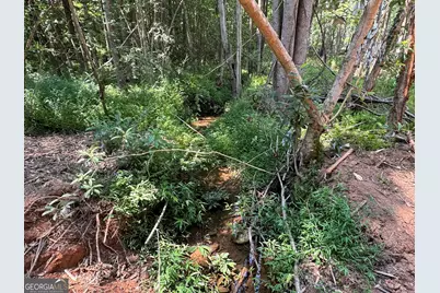 Lot 4 Happy Hollow Road, Roopville, GA 30170 - Photo 10