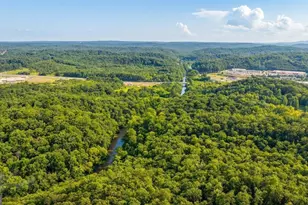 433 Elliots Ln, Dahlonega, GA 30533 - Photo 38