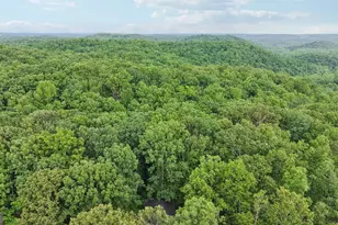 433 Elliots Ln, Dahlonega, GA 30533 - Photo 48