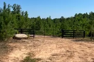 4348 Marshall Stewart Rd, Crawfordville, GA 30631 - Photo 70