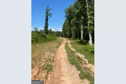 4348 Marshall Stewart Road, Crawfordville, GA 30631 - Photo 78