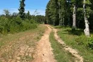 4348 Marshall Stewart Rd, Crawfordville, GA 30631 - Photo 78