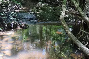 2211 Indian Hill Rd, Elberton, GA 30635 - Photo 1