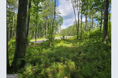 0 Twisted Oak Road, Talking Rock, GA 30175 - Photo 6