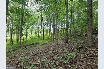 0 Twisted Oak Road, Talking Rock, GA 30175 - Photo 8