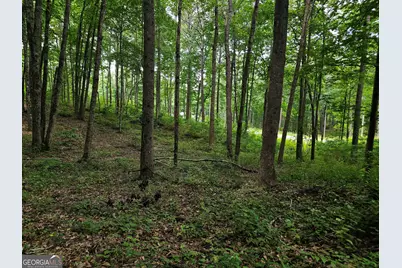 0 Twisted Oak Road, Talking Rock, GA 30175 - Photo 12