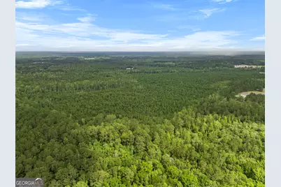 0 Rahn Station Road, Rincon, GA 31326 - Photo 8