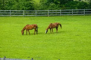 225 Cohutta Ranch Rd, Blue Ridge, GA 30513 - Photo 14